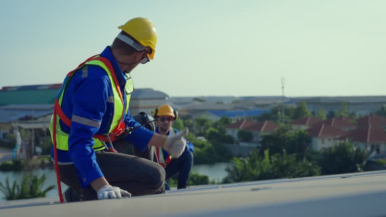 Best Roof Moss and Algae Removal  in Elkhorn, WI